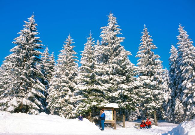 Silvester im Bayerischen Wald